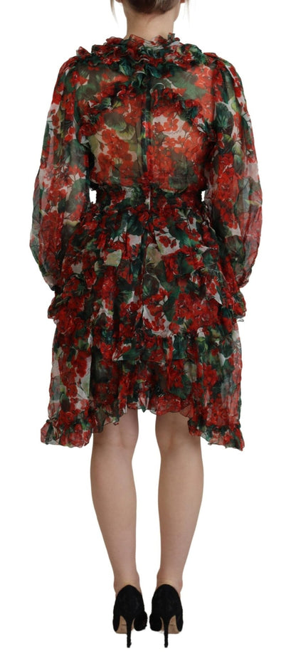 Dolce & Gabbana Multicolor Geranium A-line Knee Length Dress
