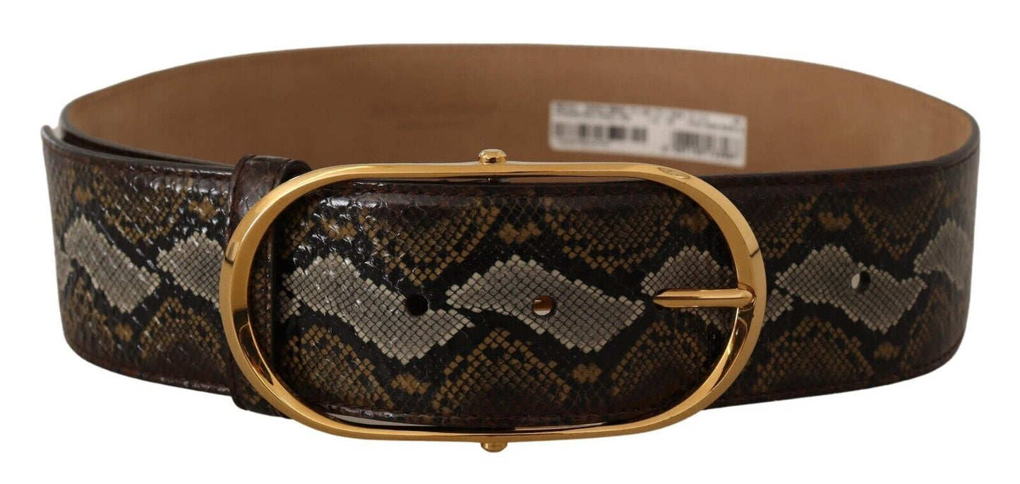 Dolce & Gabbana Brown Python Leather Gold Oval Buckle Belt